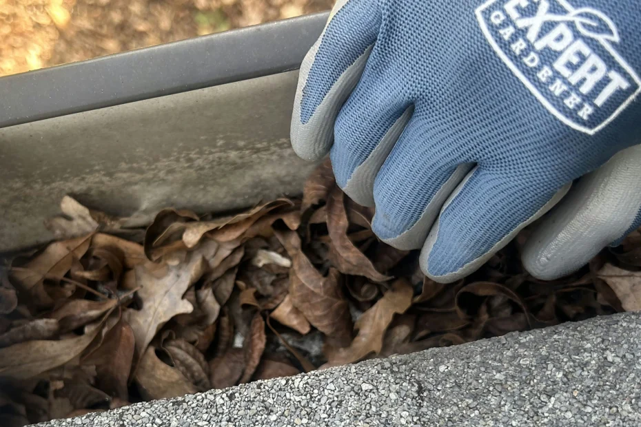 Glassboro Gutter Cleaning